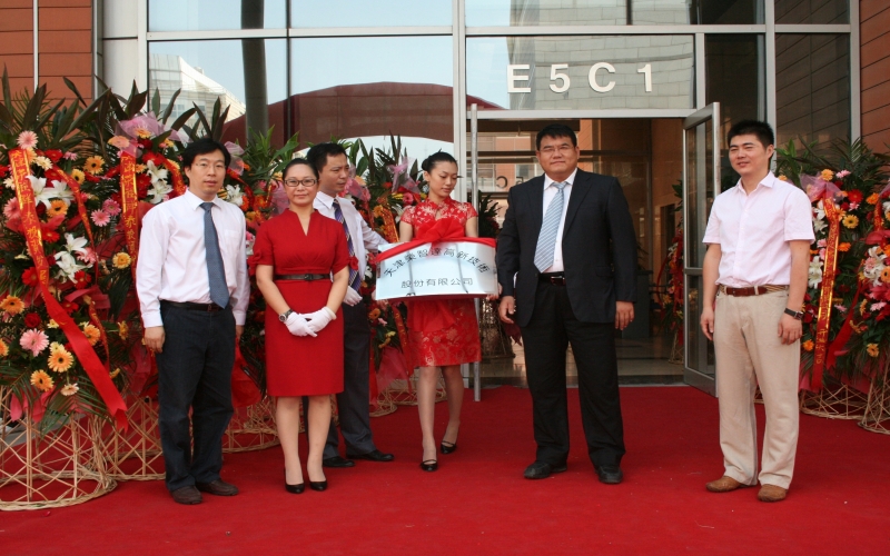 2010年，战术转型，开启多元化发展