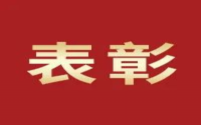 奋进2023，这些集体和幼我无上“荣”光