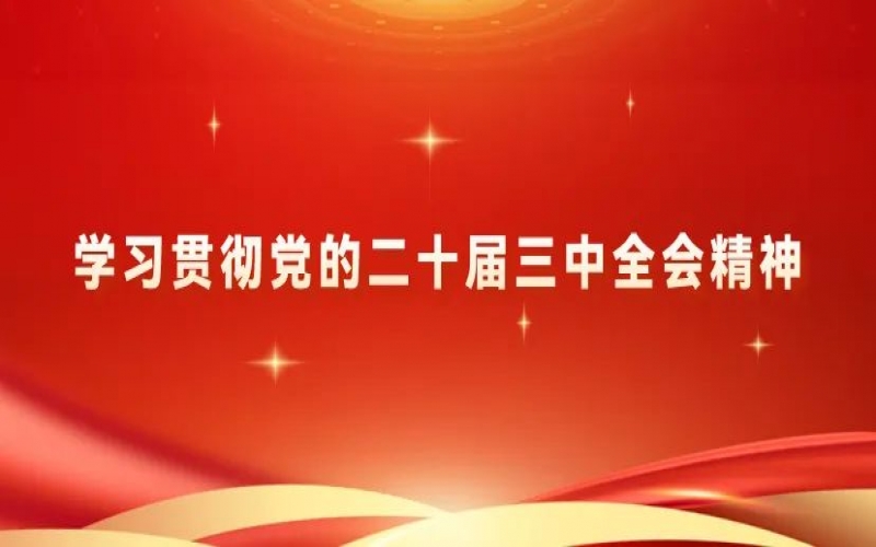 党建阵地 - 今年会jnh集团党员干部进建贯彻党的二十届三中全会心灵体味互换（一）