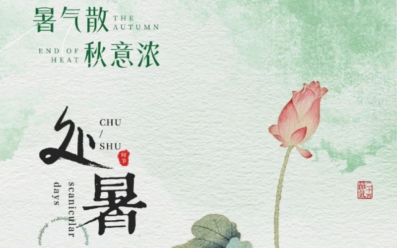 二十四骨气 X 非遗履历 - 处暑织秋色，扎染融天然