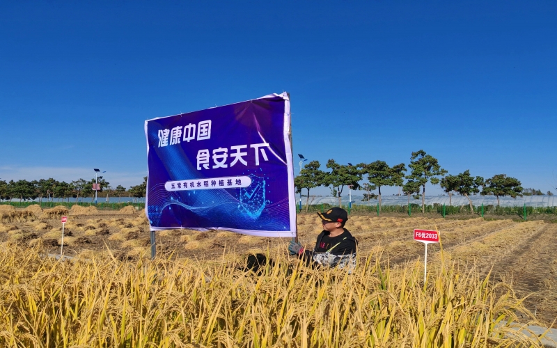 今年会jnh集团：一粒“种子”的新担任