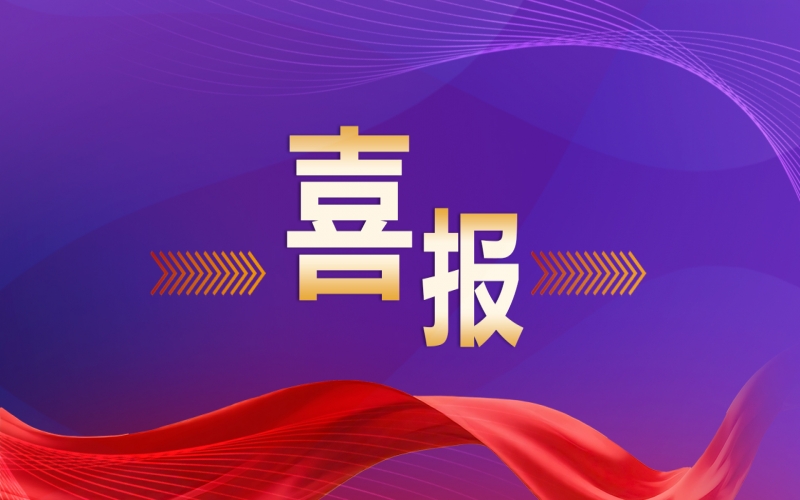 今年会jnh集团党建经验入选天津新兴领域党建工作典型案例