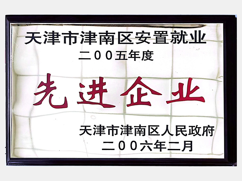 天津市津南区安设就业二OO五年度先进企业