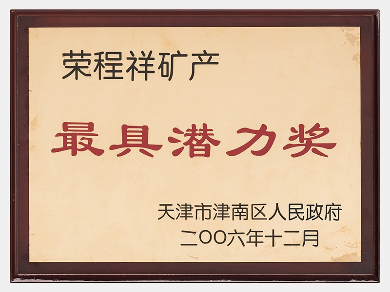 2006年-天津今年会jnh